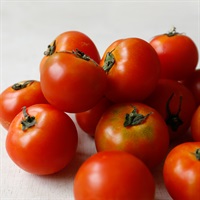 【自然栽培】サンズファーム 中玉トマト 1kg◆