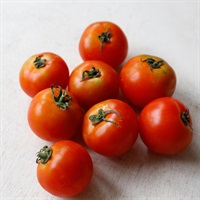 【自然栽培】サンズファーム 中玉トマト 400g◆