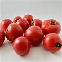 【農薬・肥料不使用】みずがきファーム トマト 1kg★