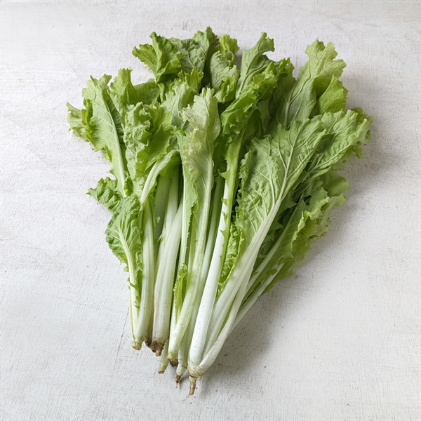 【自然栽培】イーストファーム 山東菜 1P◆