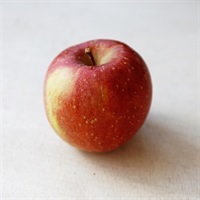 【肥料不使用】中島農園 りんご（サンフジ）1玉★