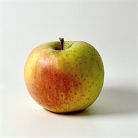 【肥料不使用】中島農園 りんご（ぐんま名月）1玉★