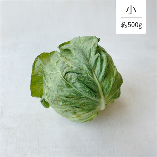 ＜豊作SALE＞【自然栽培】サンズファーム キャベツ（小） 1P◆