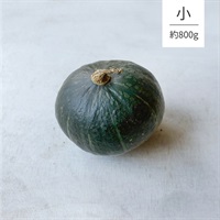 【自然栽培】サンズファーム かぼちゃ（小）1個◆
