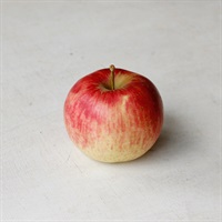 【肥料不使用】中島農園 りんご（サンつがる）1玉★