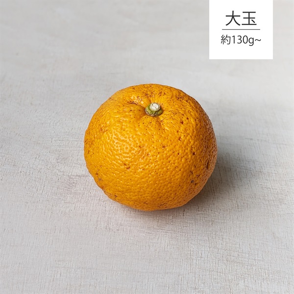 【自然栽培】にしだ果樹園 柚子 130g★