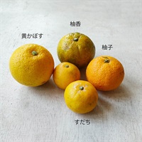 【自然栽培】西田淳一さん 和の柑橘 1P★
