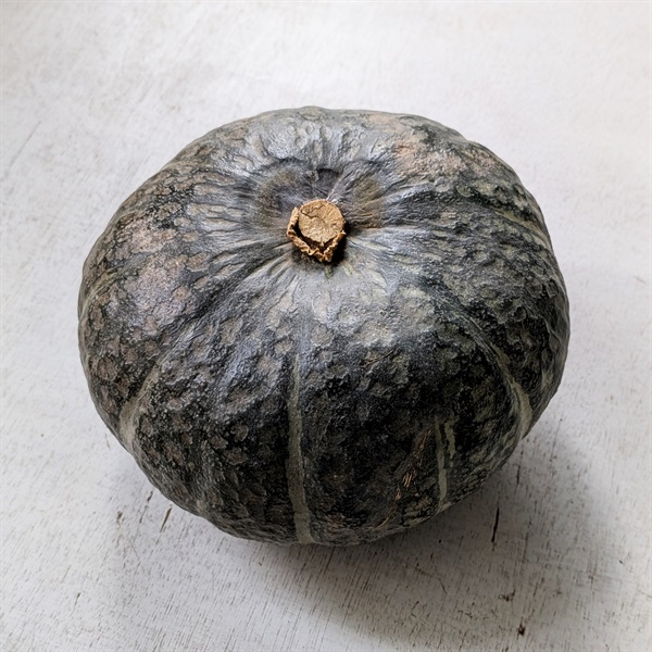 【自然栽培】中西農園 かぼちゃ 1個◆