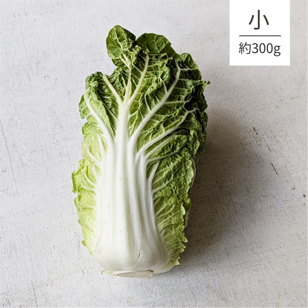【自然栽培】くわの実ファーム ミニ白菜（小） 1P◆