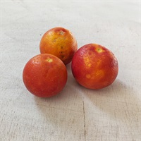 【自然栽培】西田果樹園 ブラッドオレンジ（モロ）300g★