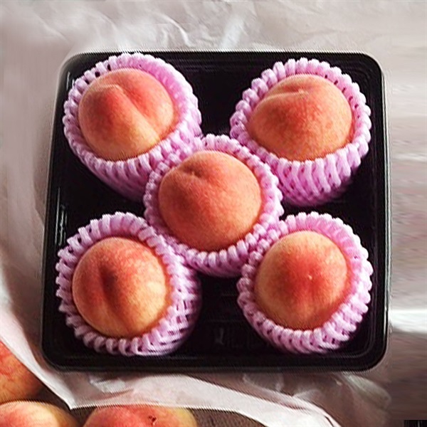  【今季完売】 【直送】【自然栽培】にしだ果樹園 白桃 500g【数量限定】★（送料込）