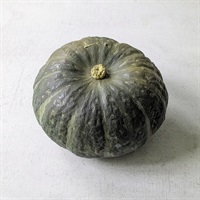 【自然栽培】玉田陽一さん かぼちゃ 1個◆
