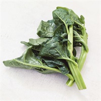  【農薬・肥料不使用】かえるすたいる つるむらさき 1P★