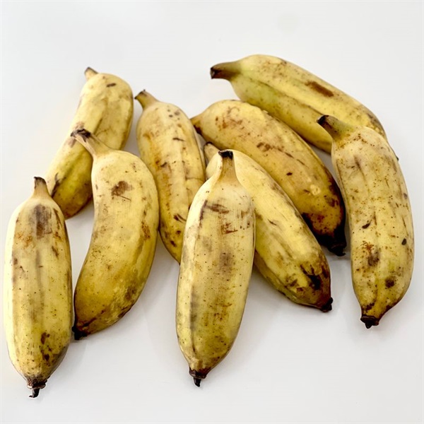 【直送】【自然栽培】BANANA PARTY バナナ（銀バナナ）1kg（8~12本）★