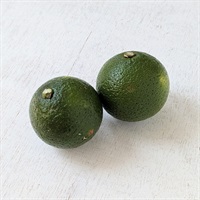 【自然栽培】にしだ果樹園 かぼす 1P★