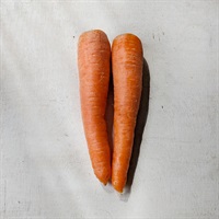 【自然栽培】サンズファーム 人参 500g◆