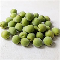 2025年入荷終了【自然栽培】横山農園 青梅 1kg★