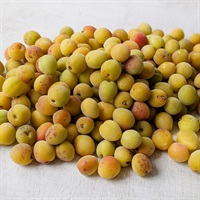 2025年入荷終了【自然栽培】横山農園 小梅（完熟）1kg★
