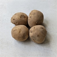 【自然栽培】紅葉倶楽部 じゃがいも（ニシユタカ）500g◆ 