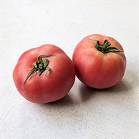  【農薬・肥料不使用】松尾農場 トマト 350g★