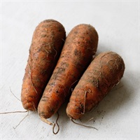 【自然栽培】中西農園 人参 500g◆