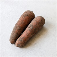 【自然栽培】佐藤哲義さん 人参 500g◆