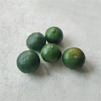 【自然栽培】かやのひめ自然農園 シークワーサー 100g★