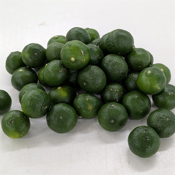 【自然栽培】かやのひめ自然農園 シークワーサー 1kg★