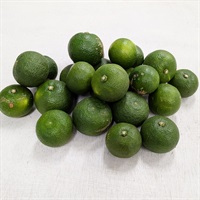  【自然栽培】にしだ果樹園 すだち 1kg★