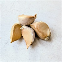 【自然栽培】國吉農園 にんにく 1P◆