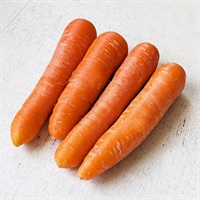 【自然栽培】自然農法成田生産組合 人参 500g◆