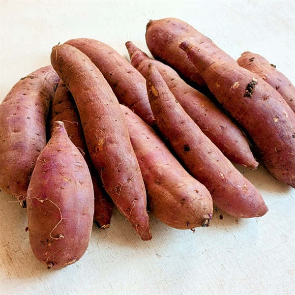 【自然栽培】自然農法成田生産組合  さつまいも（紅はるか） 3kg◆