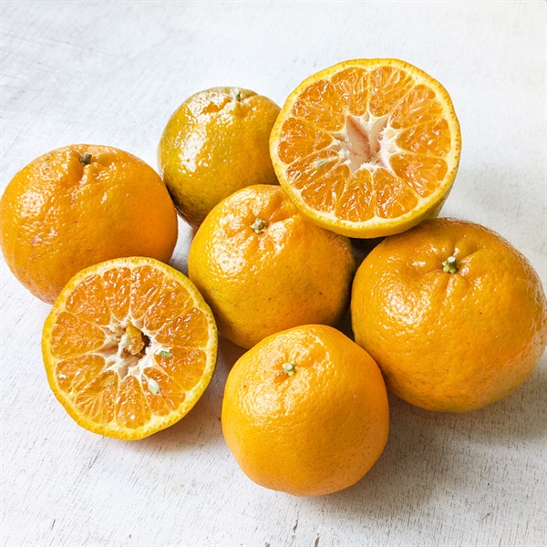 【自然栽培】自然農園よしだ ぽんかん 1kg★