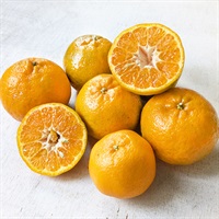 【自然栽培】自然農園よしだ ぽんかん 1kg★