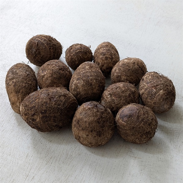 【自然栽培】サンズファーム 里芋 1kg◆