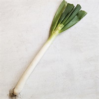 【自然栽培】國吉農園 ねぎ 200g◆