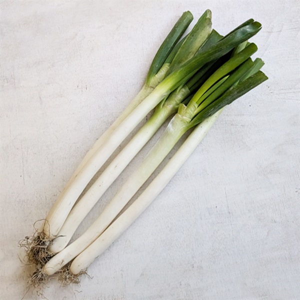 【自然栽培】國吉農園 ねぎ 1kg◆