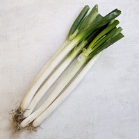 【自然栽培】國吉農園 ねぎ 1kg◆