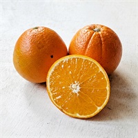  【農薬・肥料不使用】三尾農園 ネーブル 500g★