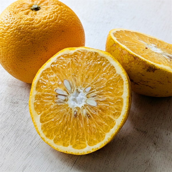 【自然栽培】自然農園よしだ 八朔 2玉★