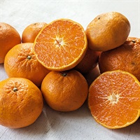 【自然栽培】にしだ果樹園 西南のひかり 1kg◆