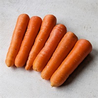 ＜豊作＆まとめ買いSALE＞【自然栽培】自然農法成田生産組合 人参 1kg◆