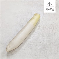 【自然栽培】橋本農園 大蔵大根 1本（小）★