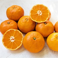 【自然栽培】イベファーム みかん 1kg◆