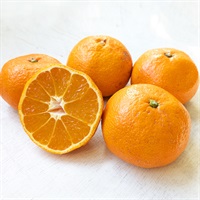 【自然栽培】イベファーム みかん 500g◆