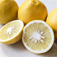 【自然栽培】かやのひめ自然農園 サワーポメロ 1kg◆