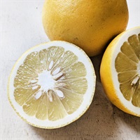 【自然栽培】かやのひめ自然農園 サワーポメロ 400g◆