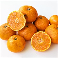 【自然栽培】にしだ果樹園 みかん（貯蔵）1kg◆