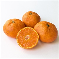 【自然栽培】にしだ果樹園 みかん（貯蔵） 500g◆