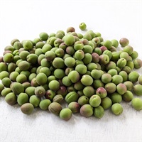 【農薬・肥料不使用】相良農園 小梅 1kg★
